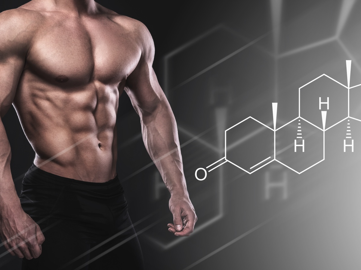 Wie viel Muskelmasse kann man maximal aufbauen?